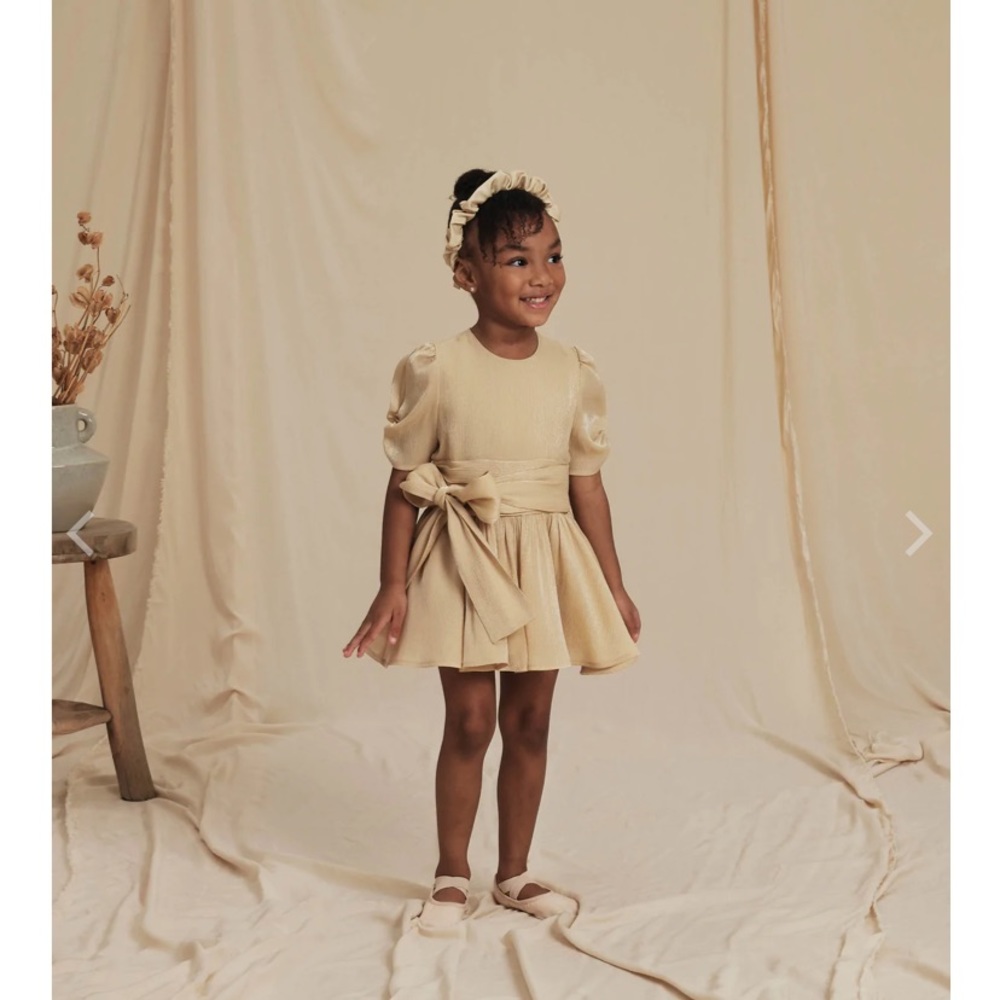 Noralee Dress Josephine Dress Metallic Champagne